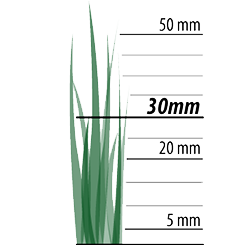 Wat is de beste maaihoogte